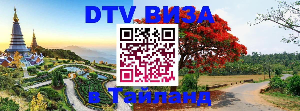 Как сделать DTV визу в Тайланд Новосибирск 